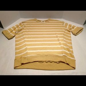 NWOT Women’s Cherish Short Sleeve Sweater